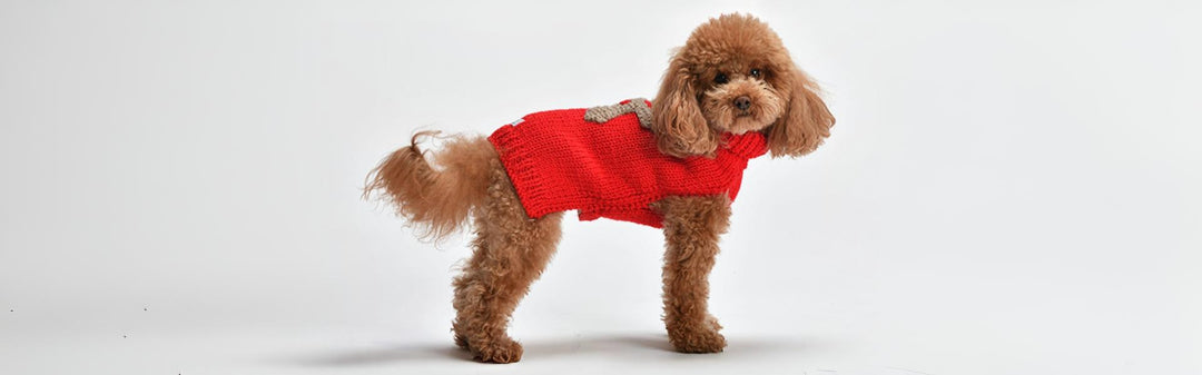 Dog Clothes