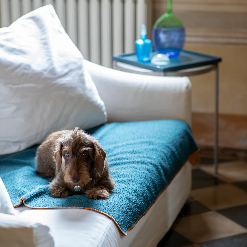 Ansel - Casentino Wool Blanket for Pets | 2.8 Duepuntootto Design for Dogs