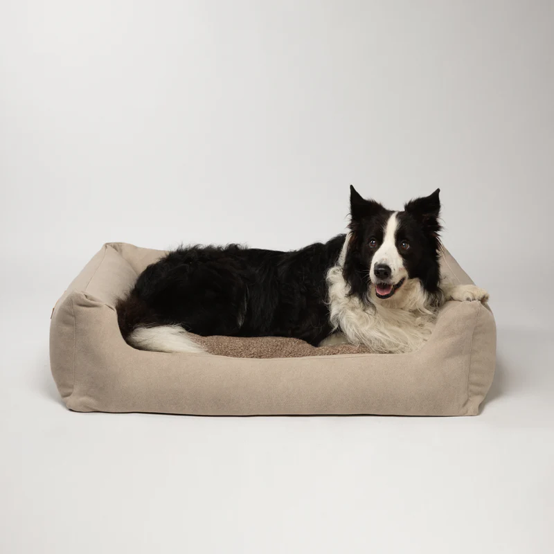 Henri - Organic Cotton Dog Bed | 2.8 Duepuntootto Design for Dogs