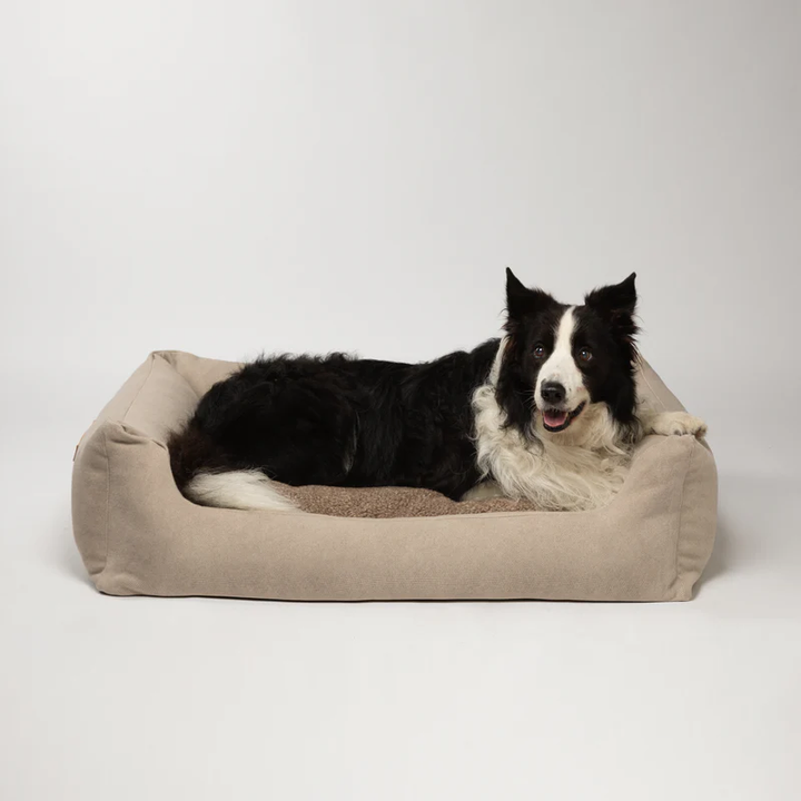 Henri - Organic Cotton Dog Bed | 2.8 Duepuntootto Design for Dogs