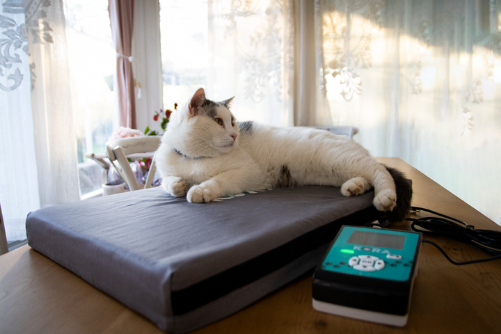 KORA KIT BASE Pet Magnetotherapy - Kora Therapy