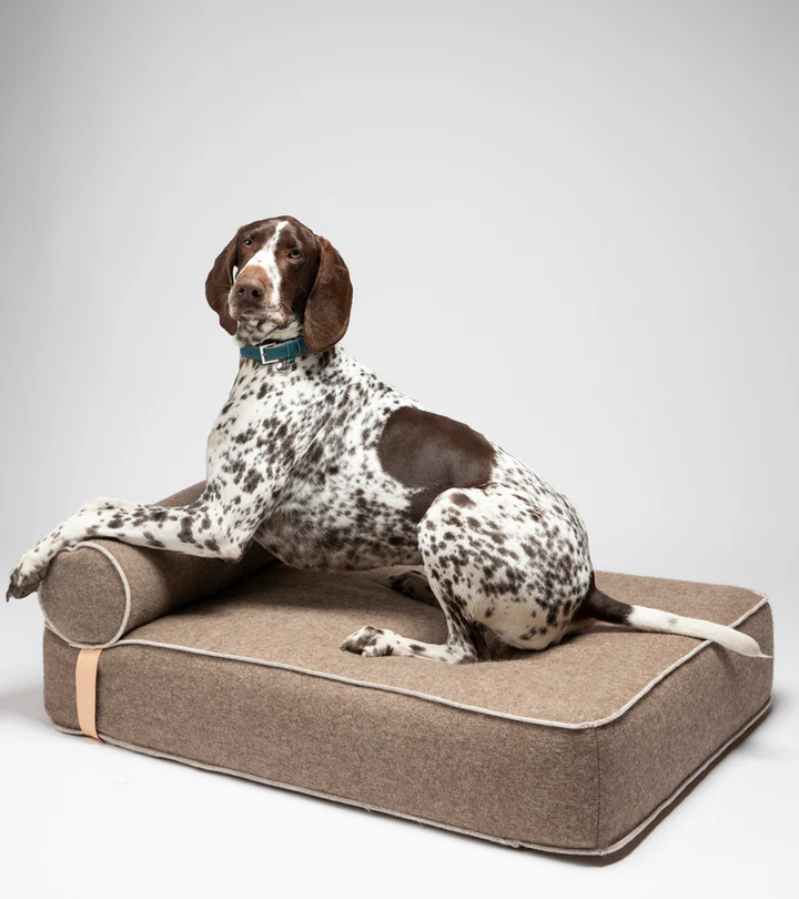 Giampaolo Day Bed for Dogs in Recycled Wool | 2.8 Duepuntootto
