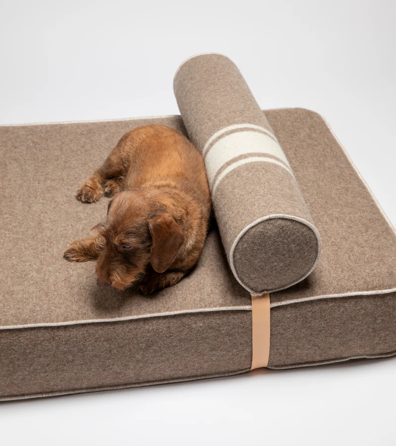 Giampaolo Day Bed for Dogs in Recycled Wool | 2.8 Duepuntootto