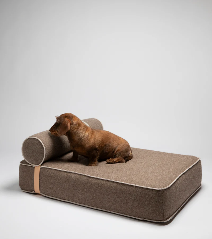 Giampaolo Day Bed for Dogs in Recycled Wool | 2.8 Duepuntootto