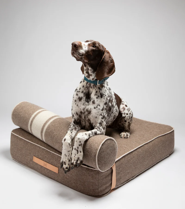 Giampaolo Day Bed for Dogs in Recycled Wool | 2.8 Duepuntootto
