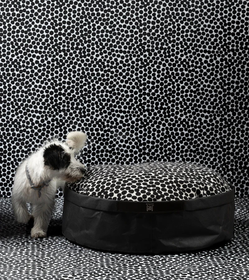 IRVING DOTTO Paper Cushion for Pets | 2.8 Duepuntootto Design for Dogs
