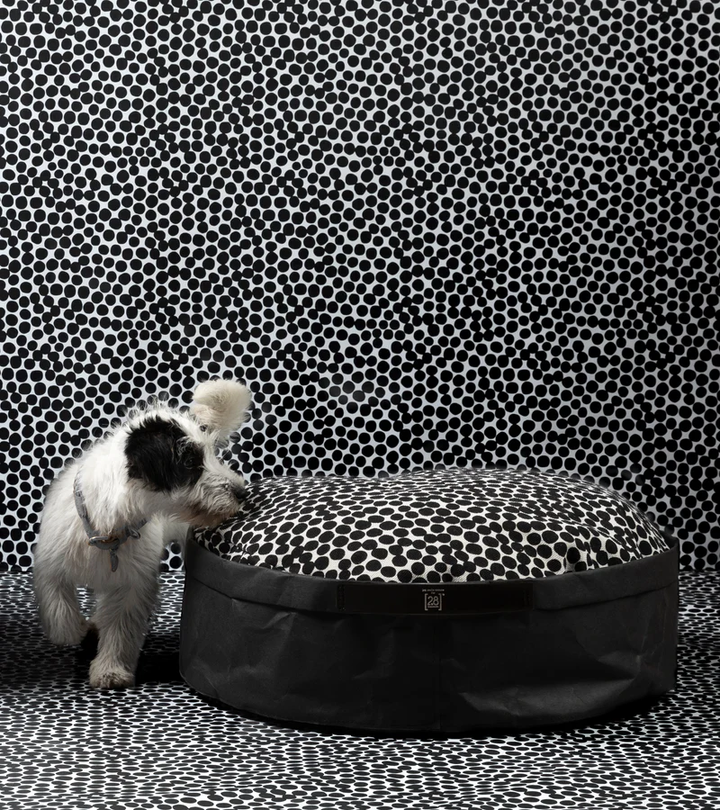 IRVING DOTTO Paper Cushion for Pets | 2.8 Duepuntootto Design for Dogs
