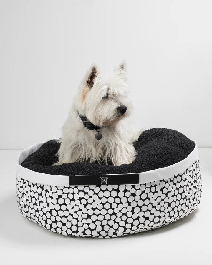 IRVING DOTTO Paper Cushion for Pets | 2.8 Duepuntootto Design for Dogs