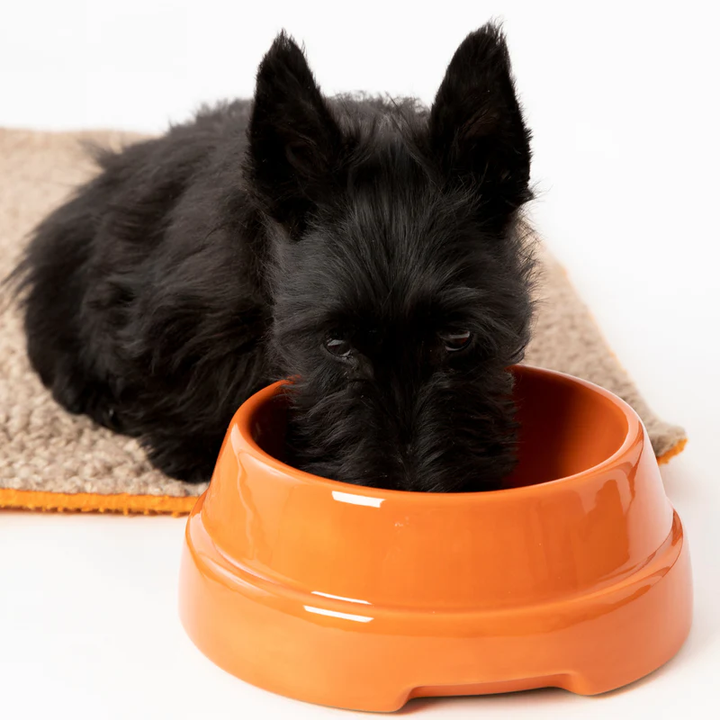 Sebastião Dog Ceramic Bowl | 2.8 Duepuntootto Design for Dogs