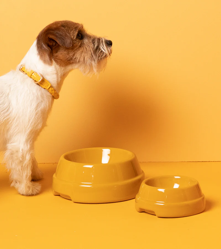 Sebastião Dog Ceramic Bowl | 2.8 Duepuntootto Design for Dogs