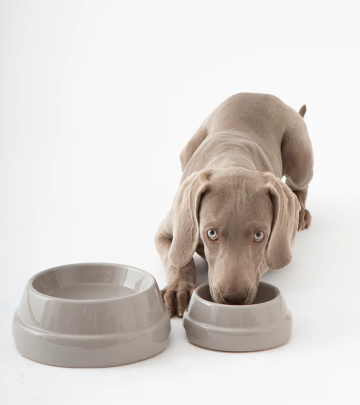 Sebastião Dog Ceramic Bowl | 2.8 Duepuntootto Design for Dogs