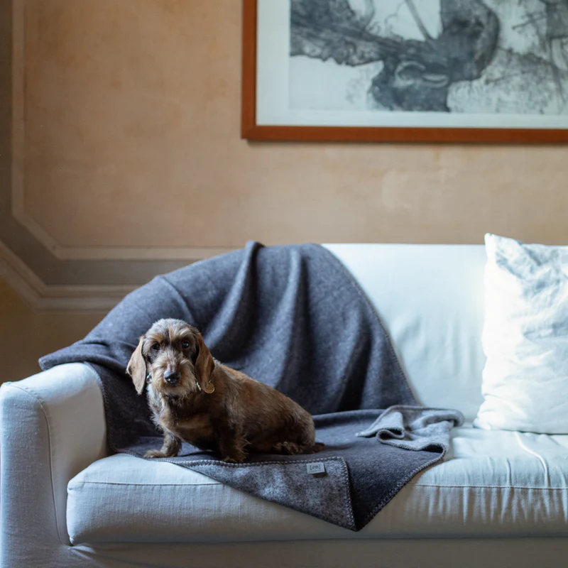 Yuki - Bamboo Blanket for Pets | 2.8 Duepuntootto Design for Dogs