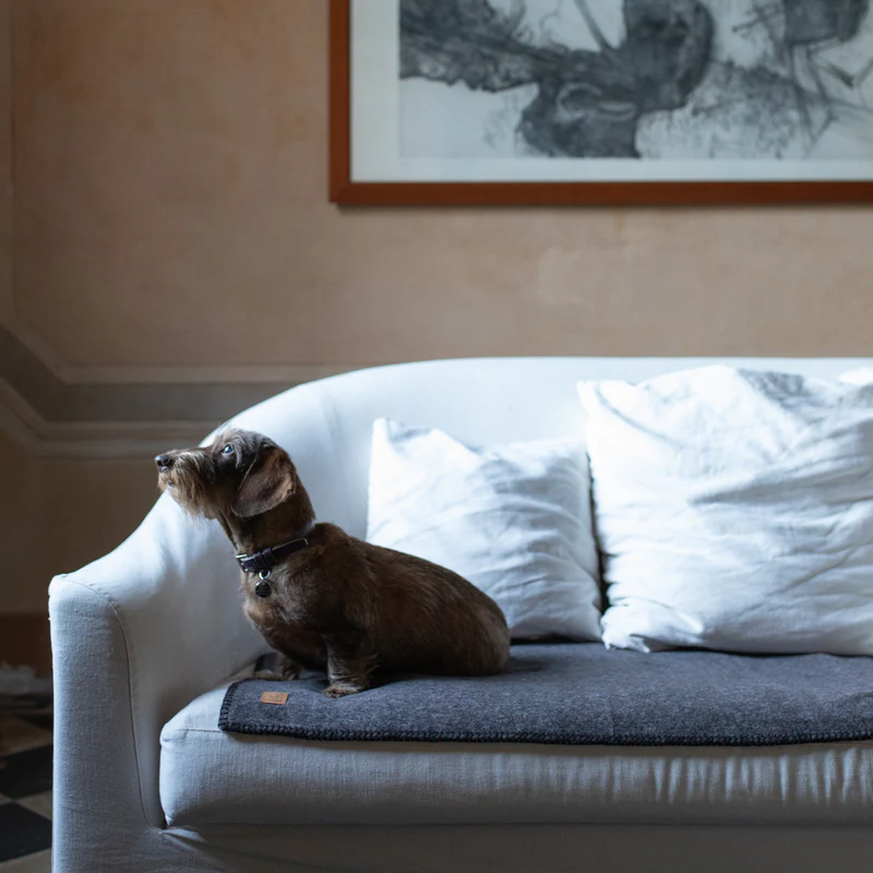 Yuki - Bamboo Blanket for Pets | 2.8 Duepuntootto Design for Dogs