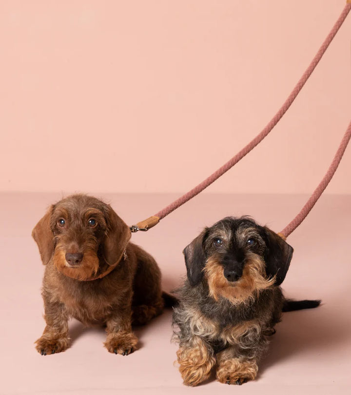 Ferdinando Microfiber Leash | 2.8 Duepuntootto Design for Dogs