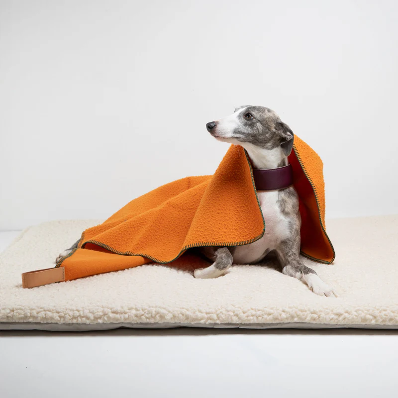 Ansel - Casentino Wool Blanket for Pets | 2.8 Duepuntootto Design for Dogs