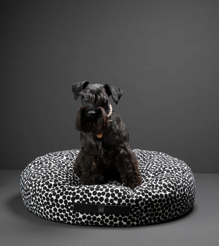 FULVIO DOTTO Round Cushion for Dog | 2.8 Duepuntootto Design for Dogs