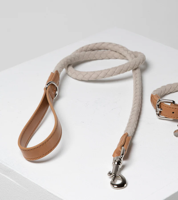 Ferdinando Microfiber Leash | 2.8 Duepuntootto Design for Dogs