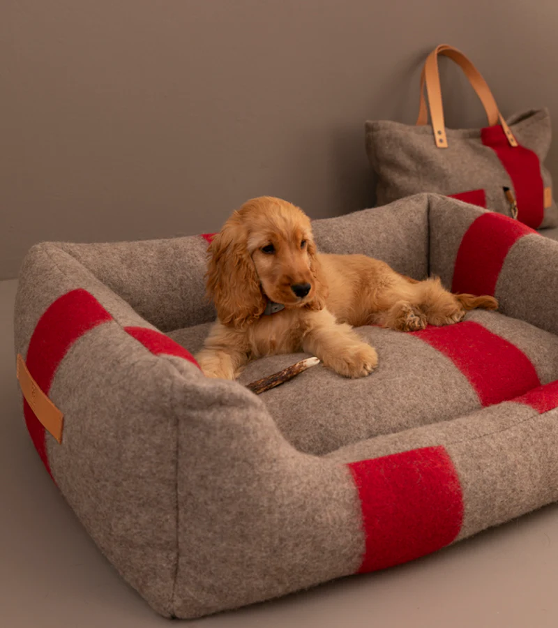 Henri - Recycled Wool Bed for Dog | 2.8 Duepuntootto Design for Dogs