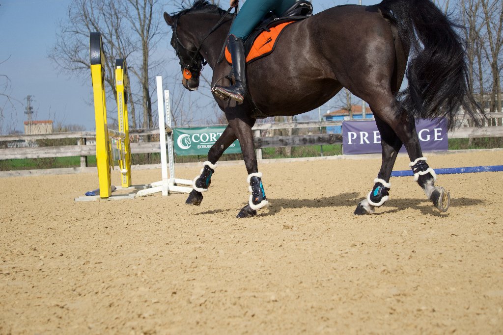 Jumping
