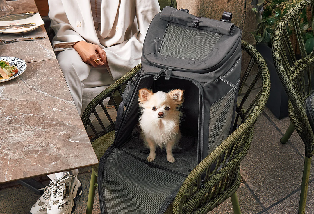 Zaino Luxury Dog Backpack - MiaCara Innovative Design
