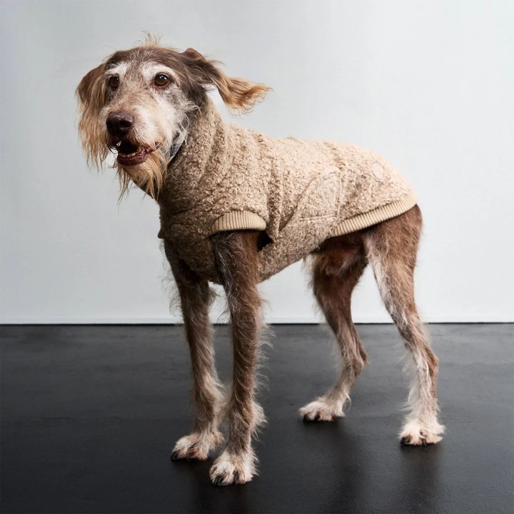 Cloud7 Gotland Sweater – Cozy Dog Fashion