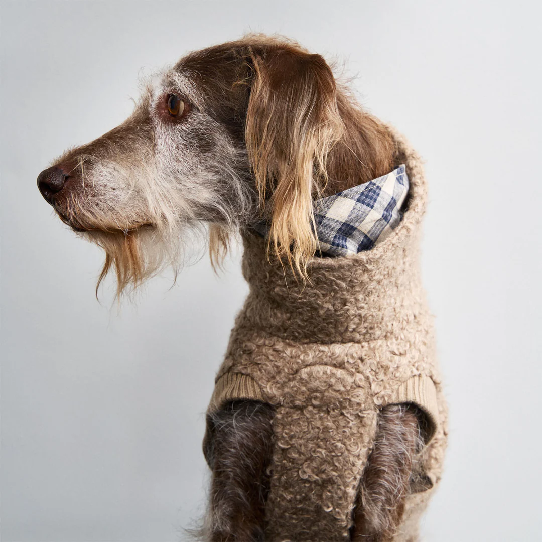 Cloud7 Gotland Sweater – Cozy Dog Fashion