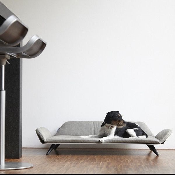 Letto Dog Luxury Day-Bed - MiaCara Innovation Design