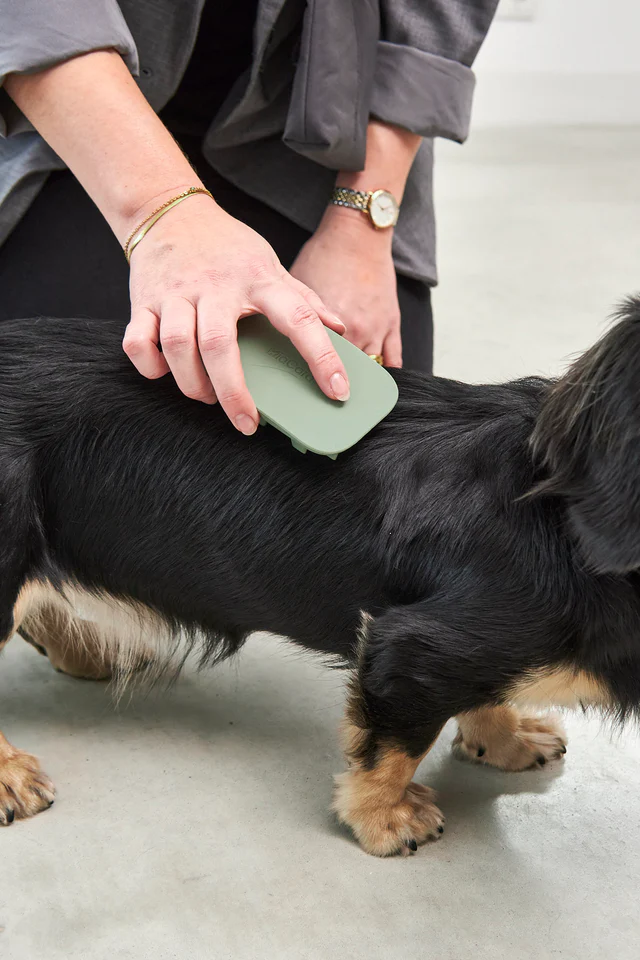 Pelo Dog Brush - MiaCara Innovative Design