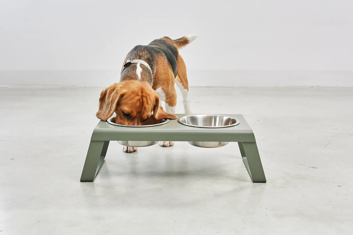 Desco Dog Feeder with Stainless Steel Bowls - MiaCara Innovative Design