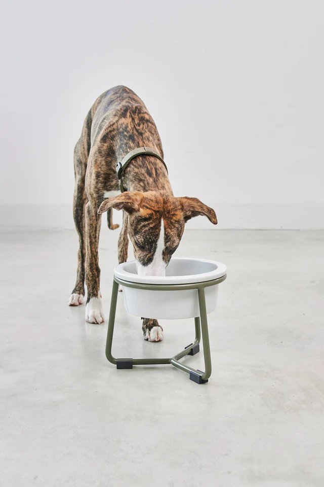 Pranzo Luxury Dog Bowl - MiaCara Innovative Design