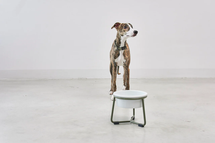Pranzo Luxury Dog Bowl - MiaCara Innovative Design