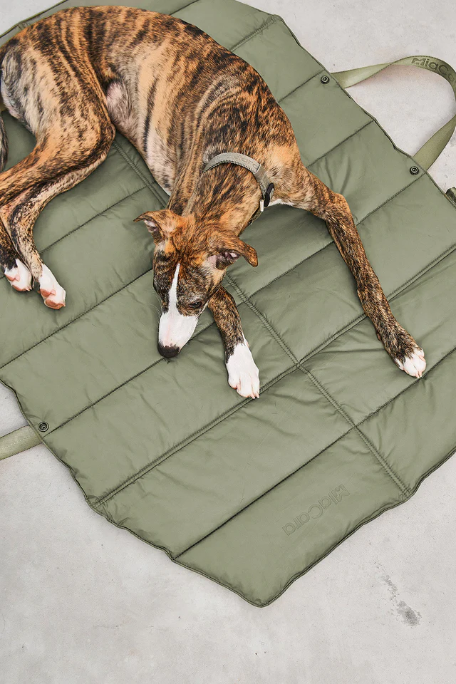 Strada Luxury Travel Bed - MiaCara Innovation Design