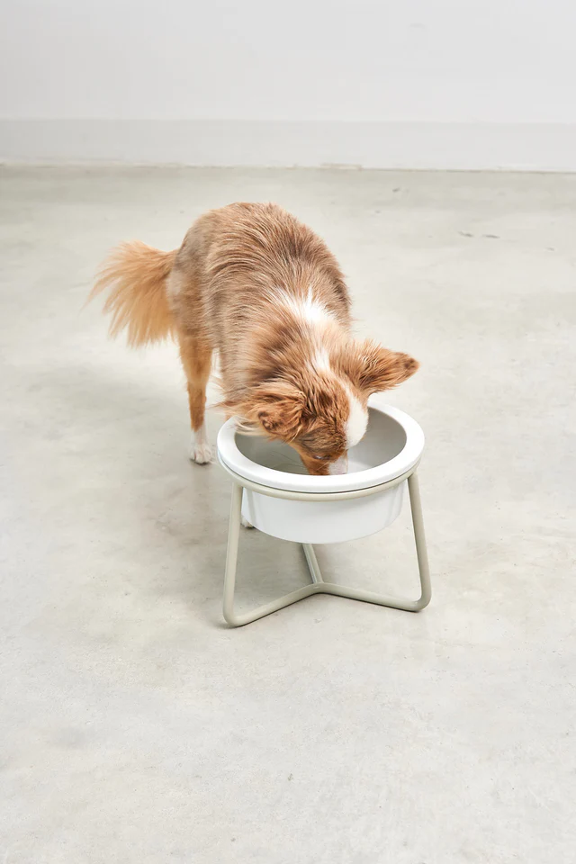Pranzo Luxury Dog Bowl - MiaCara Innovative Design
