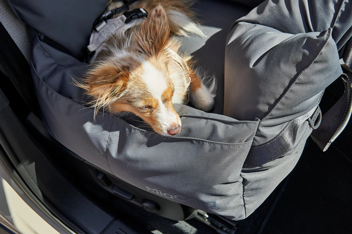 Viaggio Luxury Travel Pet Bad - MiaCara Innovative Design