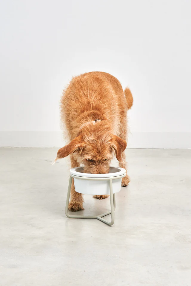 Pranzo Luxury Dog Bowl - MiaCara Innovative Design