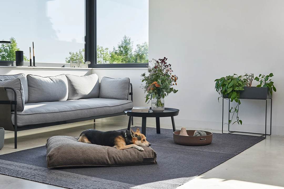 Mondo Dog Luxury Cushion - MiaCara Innovative Design