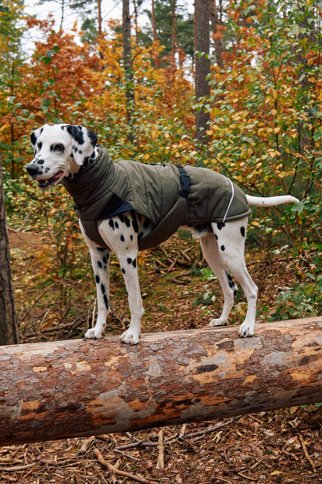 Cosima Luxury Dog Winter Coat - MiaCara Innovative Design