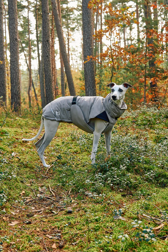 Cosima Luxury Dog Winter Coat - MiaCara Innovative Design