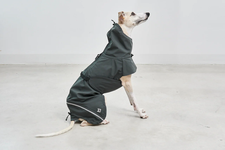 Valentina Luxury Dog Raincoat - MiaCara Innovative Design