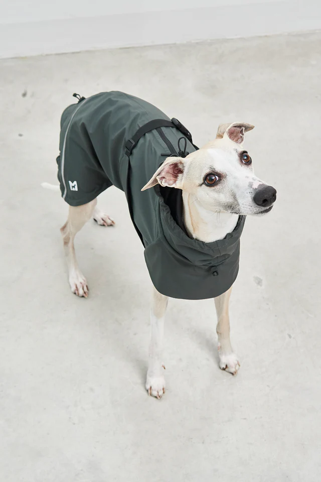 Valentina Luxury Dog Raincoat - MiaCara Innovative Design