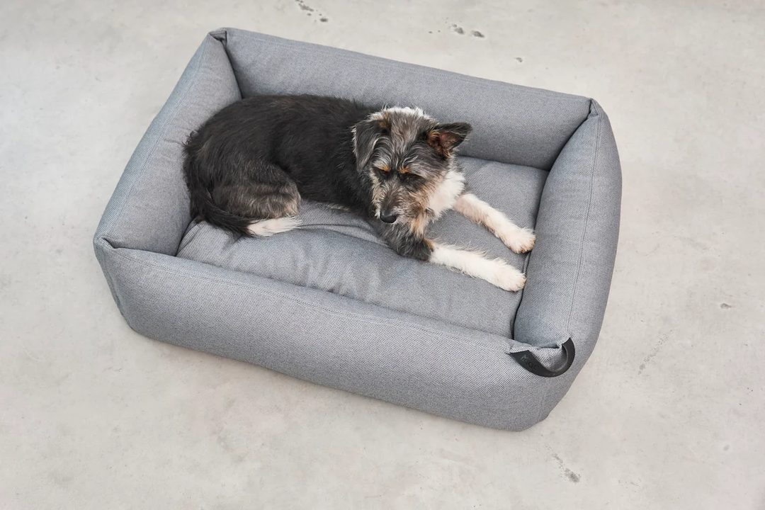 Mare Luxury Dog Bed - MiaCara Innovative Design