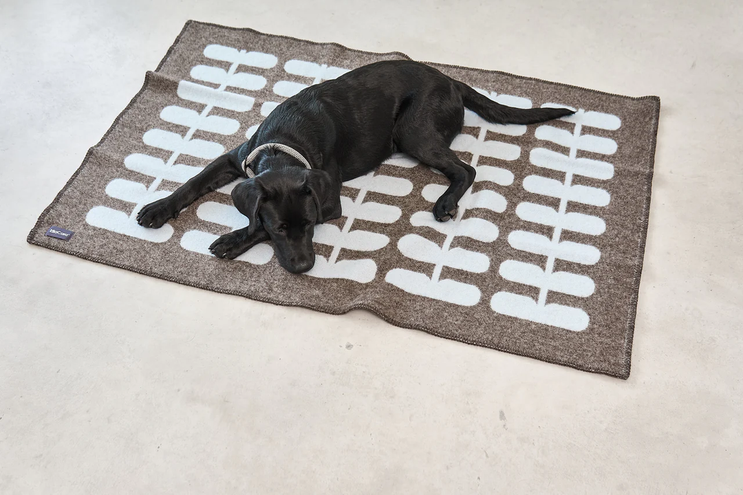 Flora Luxury Dog Blanket 100% Wool - MiaCara Innovative Design