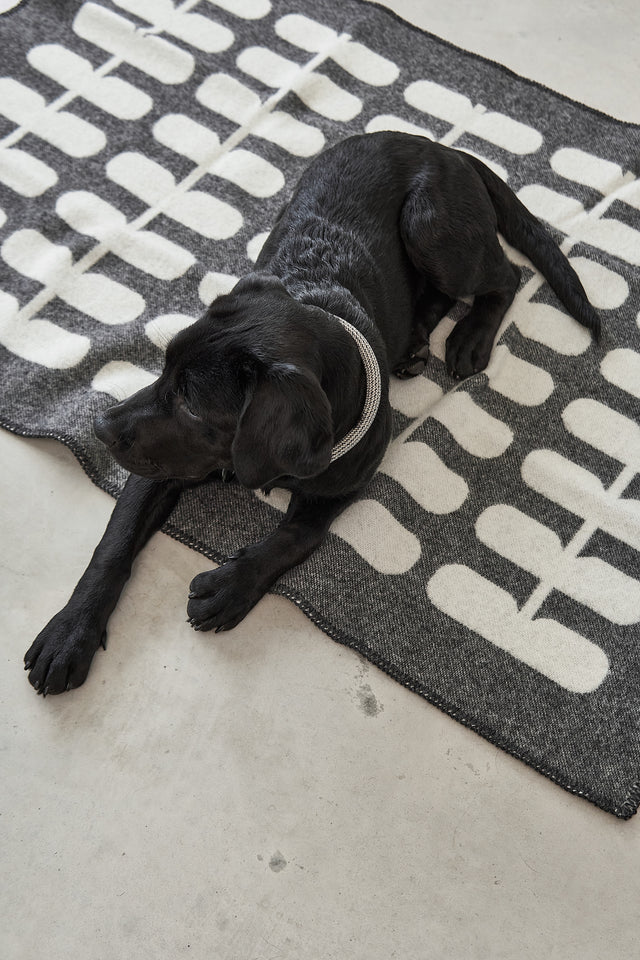 Flora Luxury Dog Blanket 100% Wool - MiaCara Innovative Design