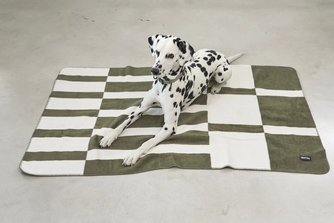 Blocco Luxury Dog Blanket - MiaCara Innovative Design