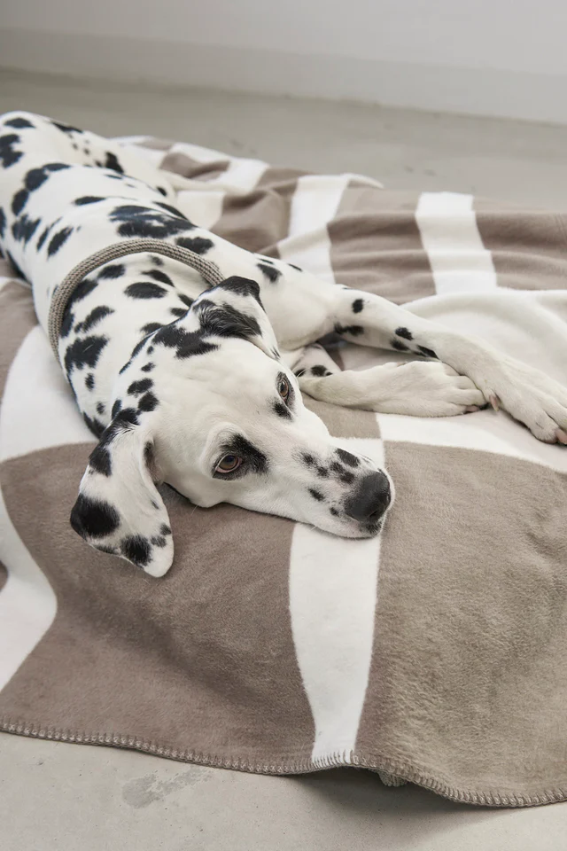 Blocco Luxury Dog Blanket - MiaCara Innovative Design