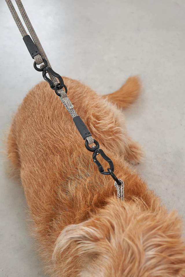 Monza Design Dog Leash - MiaCara Innovative Design
