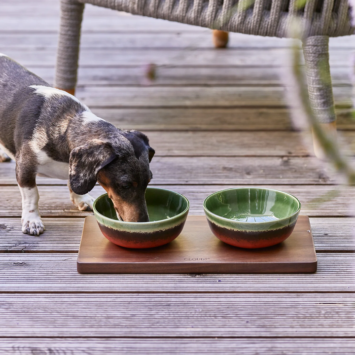 Wooden Feeding Station Set Annie – Elegant Pet Dining by Cloud7