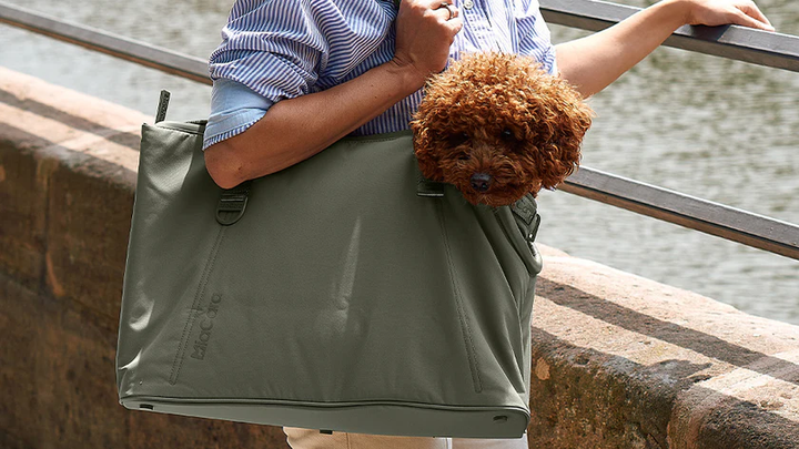 Sporta Luxury Dog Carrier - MiaCara Innovative Design