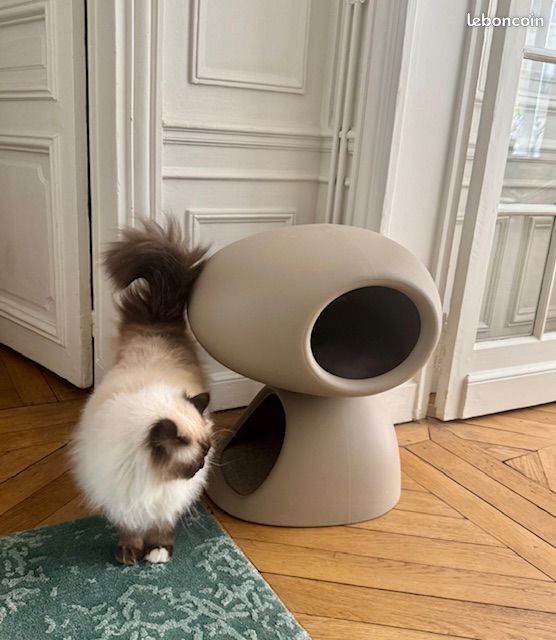 Cat Cave Luxury Cat Bed | Qeeboo Extraordinary Objects