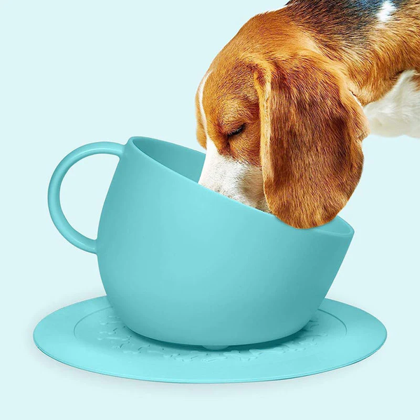 United Pets Milano